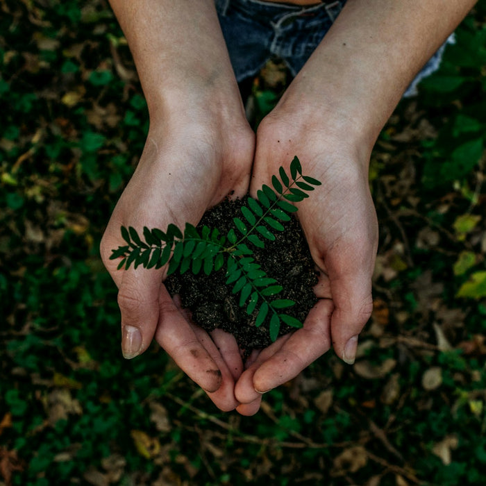 Grasslands Nursery: Embracing Sustainability and Going Green