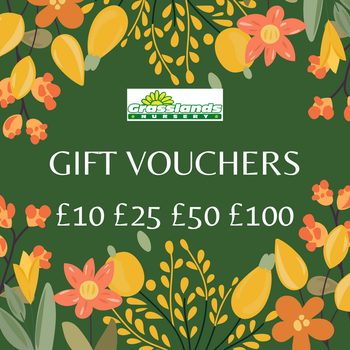 Grasslands Nursery Gift Voucher