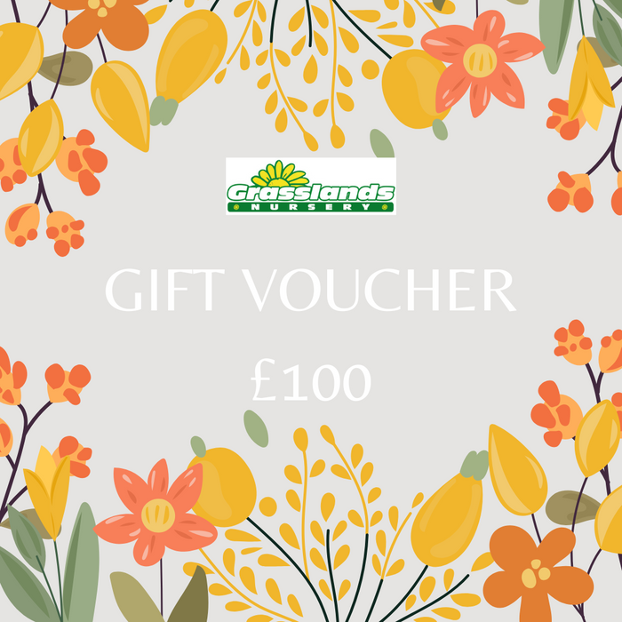 Grasslands Nursery Gift Voucher