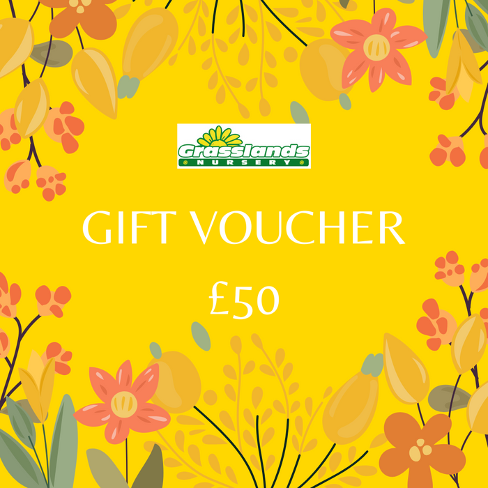 Grasslands Nursery Gift Voucher