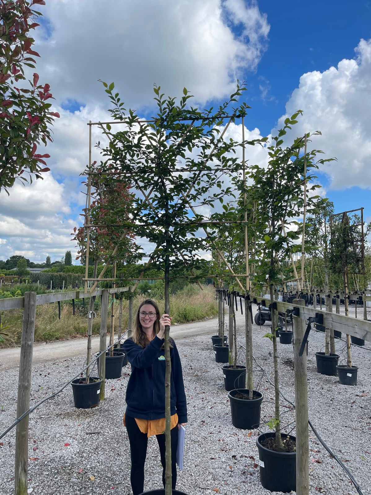 Grasslands Nursery